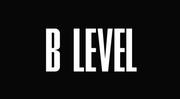B Level